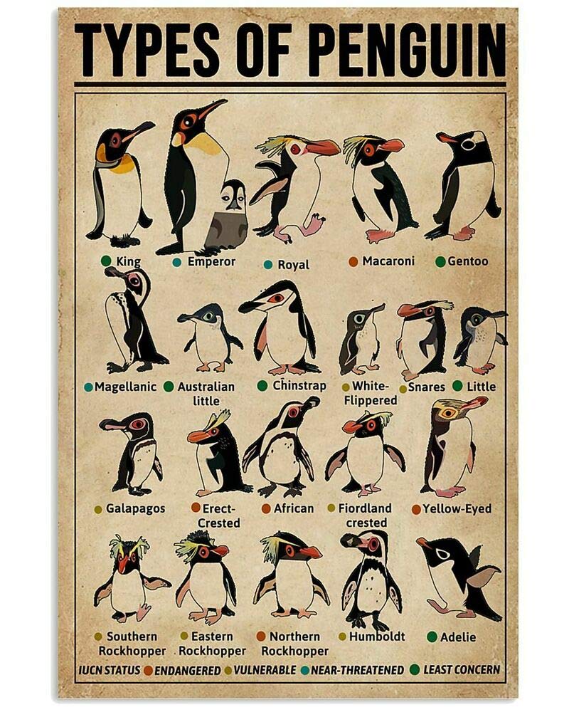 peiyeety Types Of Penguin Metal Tin Sign Penguin Knowledge Infographic School Education Farm Family Club Wall Decoration Plaque 8" x 12"