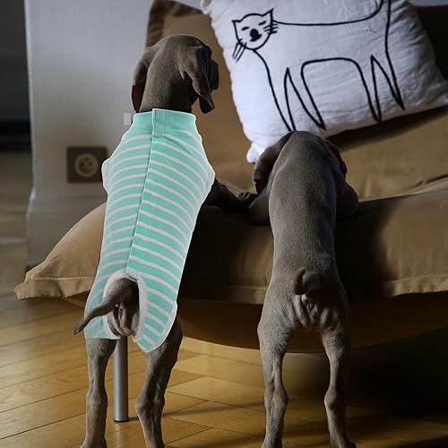 Miniatura 145 de SAWMONG Traje de recuperación para perros, traje de recuperación para perros después de la cirugía, traje quirúrgico de esterilización para perros