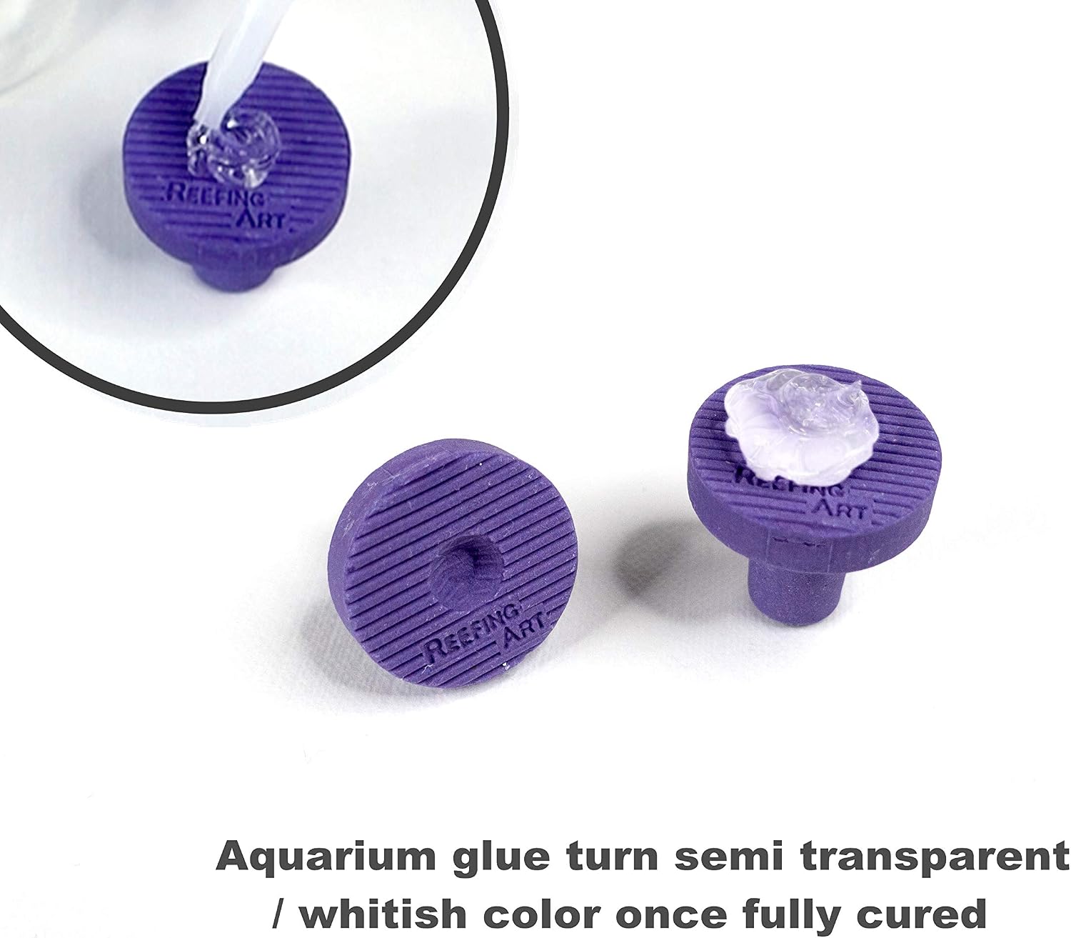 RA AquaTech Aquarium Glue Clear for Plants Corals aquascaping Instant Aquarium Safe (25pcs can)
