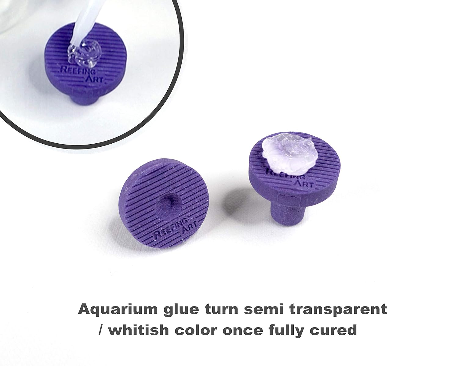 Aquarium Glue Clear for Plants Corals aquascaping Instant Aquarium Safe (25pcs can)
