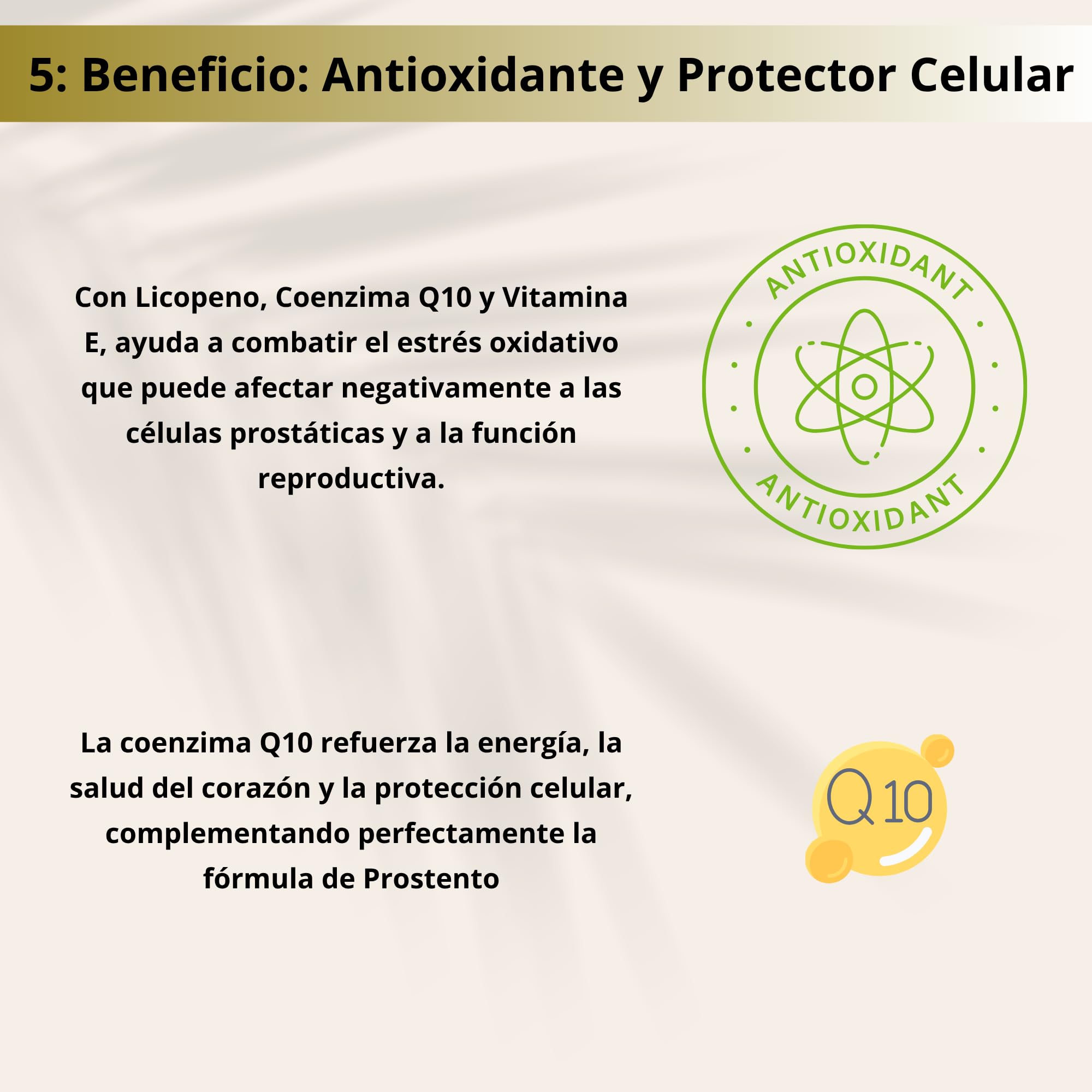 Saw Palmetto 10.500 Mg Próstata Inflamada con Serenoa Repens, Pygeum Africanum, Q10, Maca y Tribulus – Tratamiento Natural - 60 Cápsulas Vegetales para Control Urinario + Antioxidantes – Prostento