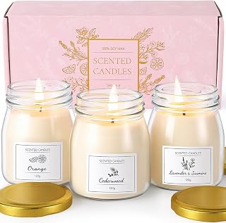 19 Classic Novels That Everyone Should Read at Least Once (You Won't Believe #3!) 85 Scented Candles Gift Set, Soy Wax Candles of Lavender & Jasmine, Orange,...