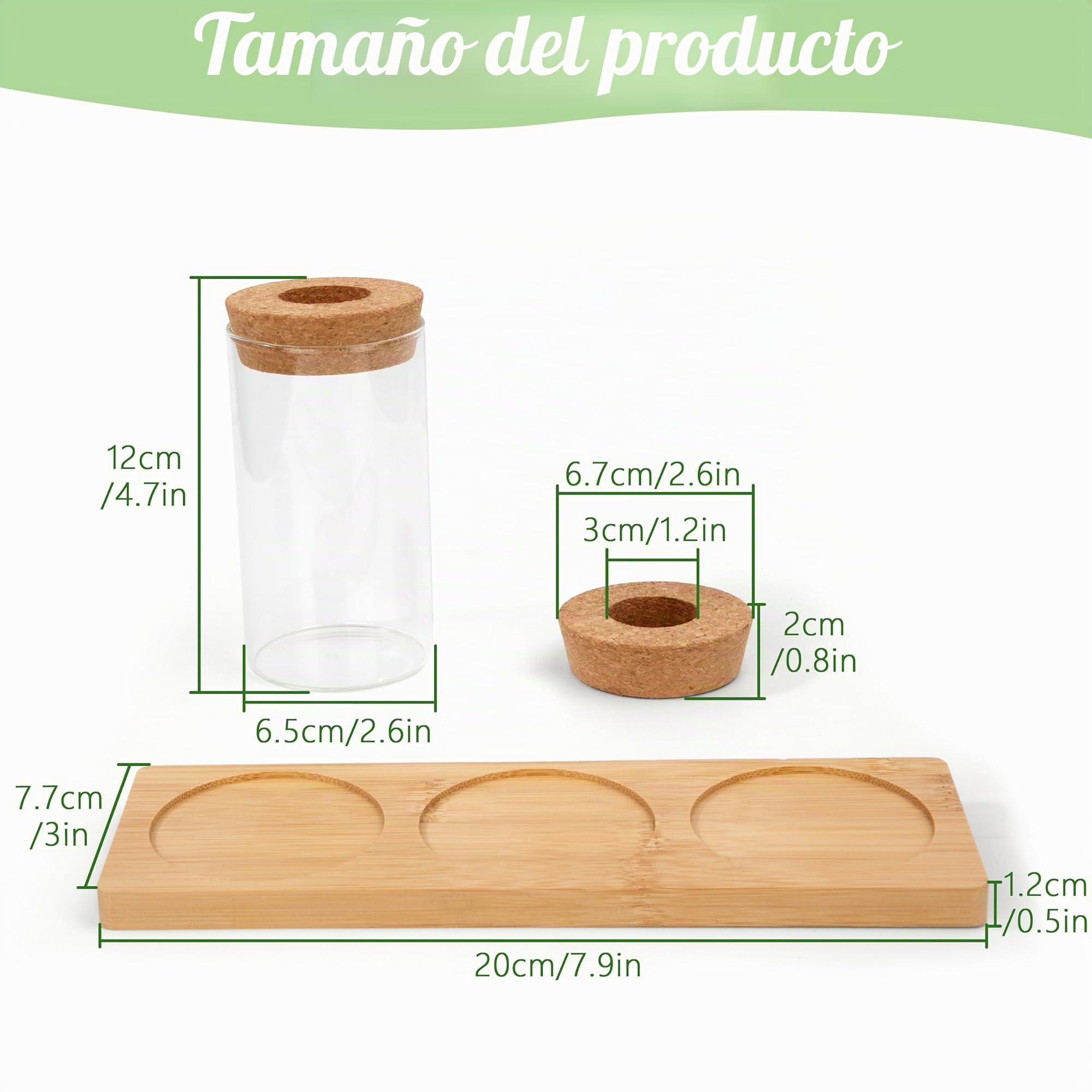 Estación de Propagación de Plantas Jarrón de Cristal para Plantas con Corcho Base de Madera 3 Piezas para Plantas de Hidrocultivo