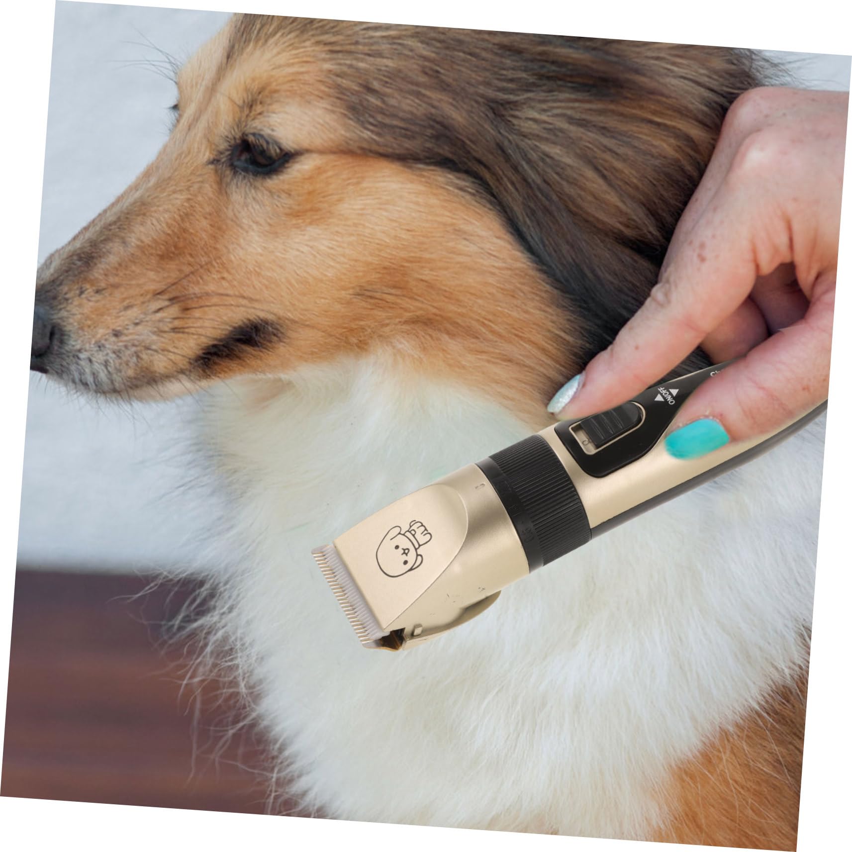 Tondeuse à Poils D'animaux Électrique USB pour Chats et Chiens