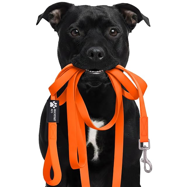 Reichstadt Pets Correa PVC Perros Repelente Agua Orange 10m