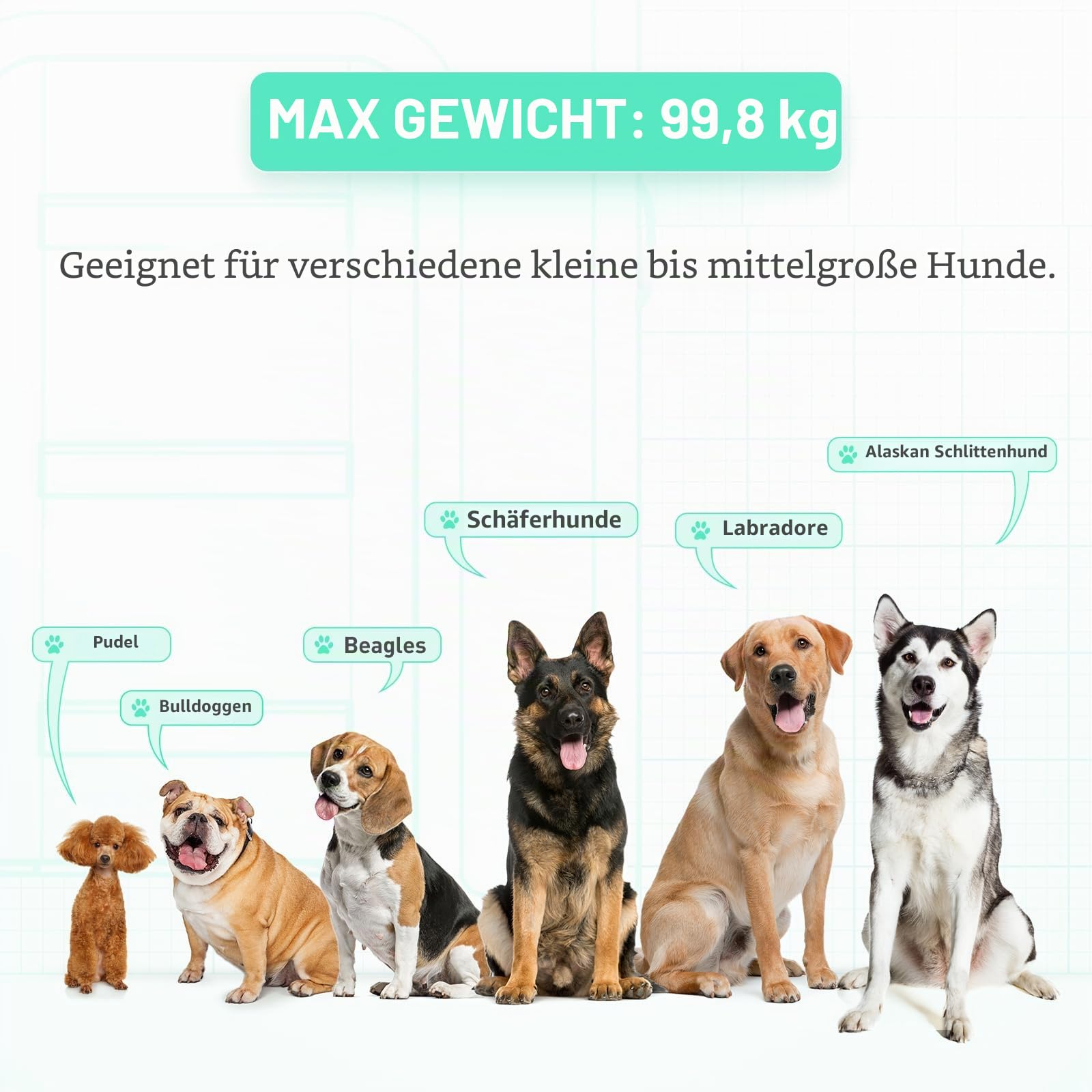 Aufblasbare schwimmende Rampe für große Hunde, zum Schwimmen für Haustiere bis zu 100 kg, aufblasbare Leitern für Boote, Stege, mit Pumpe/Seil/Reparaturset, rutschfestem PVC-Gewebe