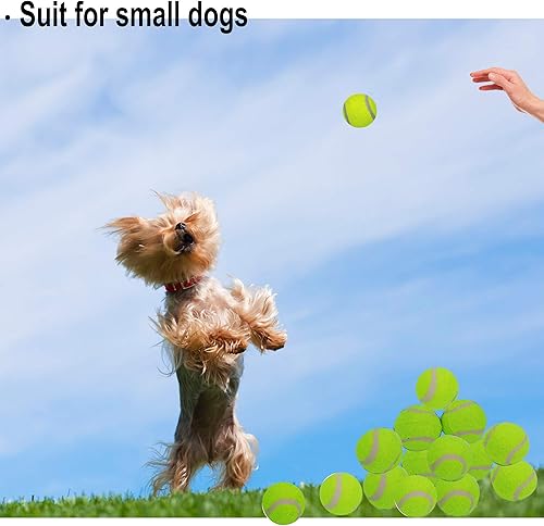 Miniatura 3 de LUCKYERMORE Paquete de 20 pelotas de tenis para perros, mini juguetes premium de 2 pulgadas, no tóxico, material no abrasivo, perfecto para perros