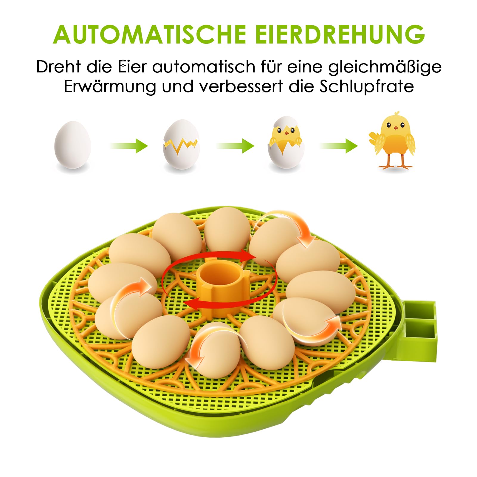 Brutautomat Vollautomatisch 12 Eier, Inkubator Hühner mit Automatische Eierdrehung, Temperatur und Feuchtigkeitskontrolle Geeignet zum Ausbrüten von Hühner, Enten, Gänse, Wachtel