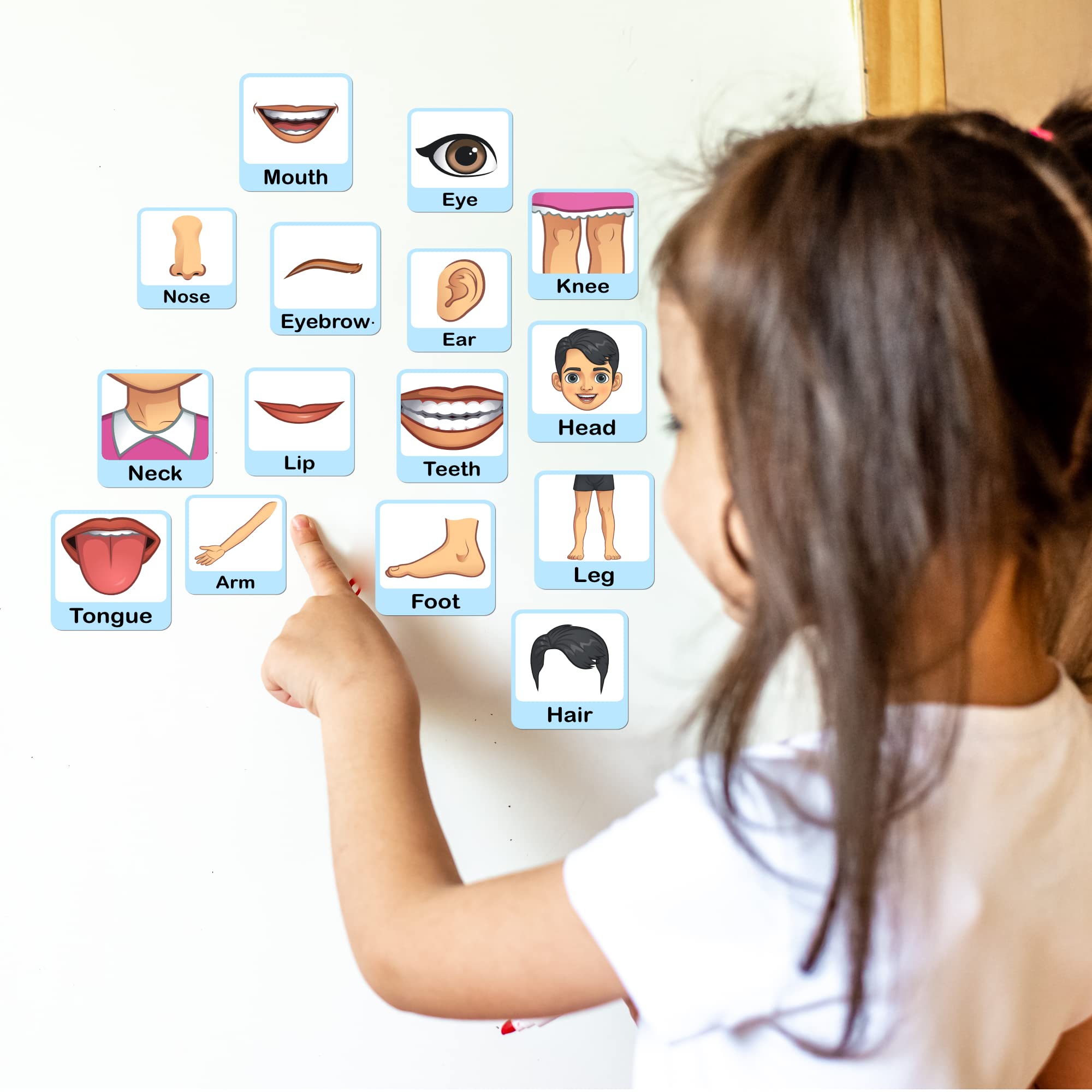 Kids Body Parts Wall Stickers - Learn & Decorate! -2 Kids Body Parts Wall Stickers - Learn & Decorate! -2