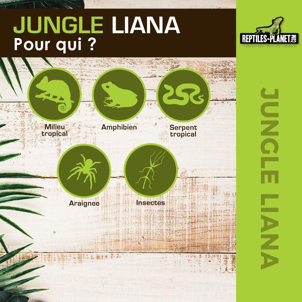 Reptiles Planet - Giungla Liana - Liana Artificiale - Decorazione per Terrario - 1 m