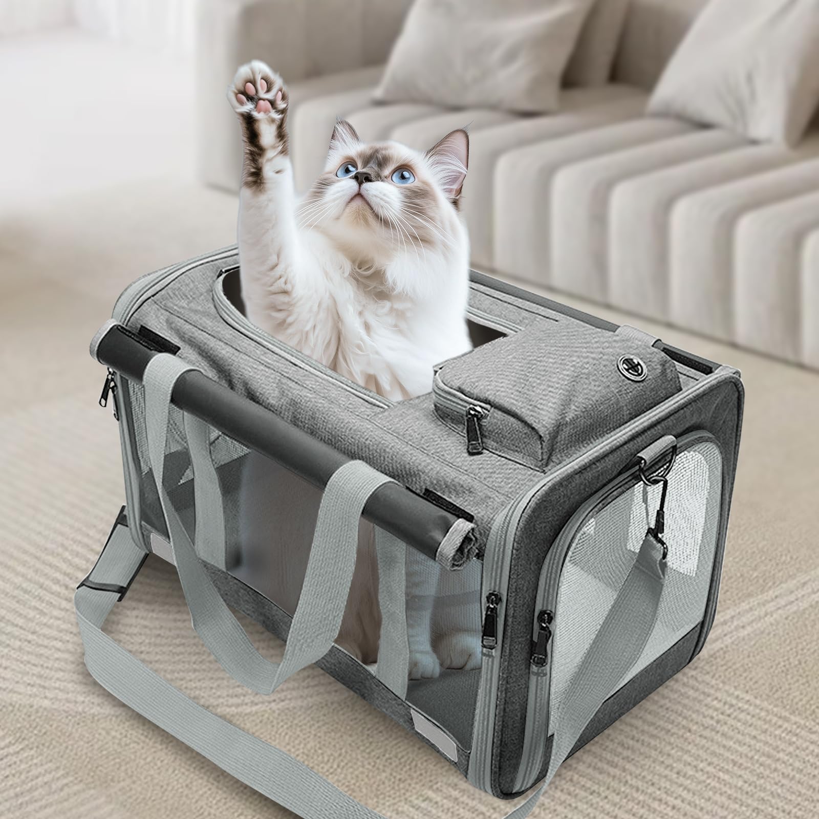 Transportín Gato Plegable – Bolsa Transporte para Gato y Perro Pequeño hasta 9kg – 46×30×30cm con Ventana, Bolsillo y Malla Transpirable (Gris Oscuro)