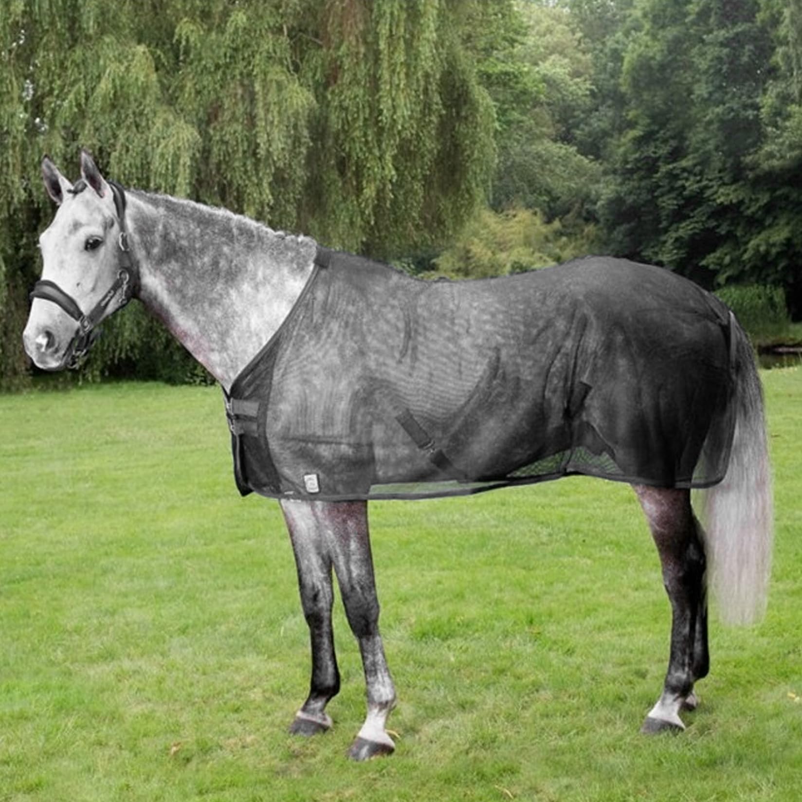Horse Master Coperta Antimosche Per Cavalli Leggera, Con Maschera E Protezione Coda, 155 Cm, Argento, Per Equitazione Outdoor