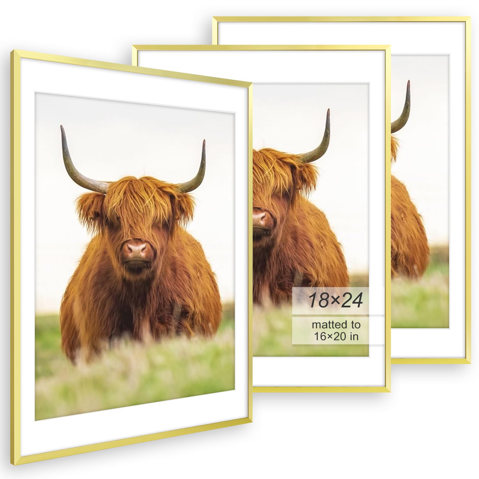 Amazon.com - Golden State Art 18x24 Picture Frame Set of 3 - Gold