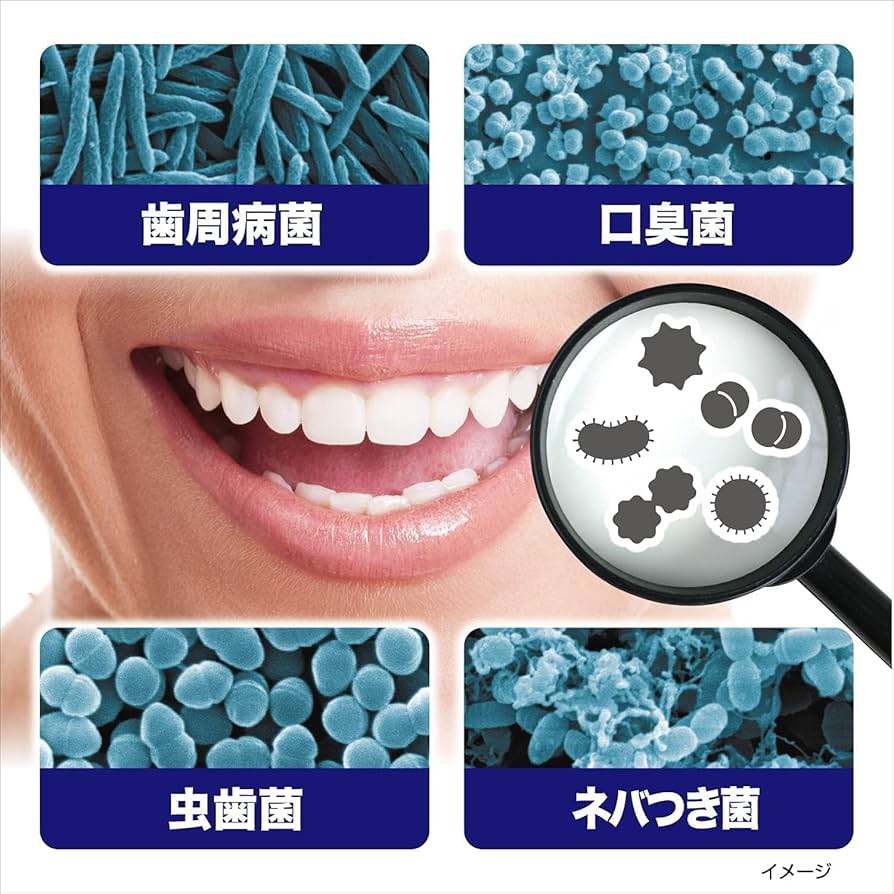 Amazon.co.jp: Zerola Morning Wash Sterilization, Total Care