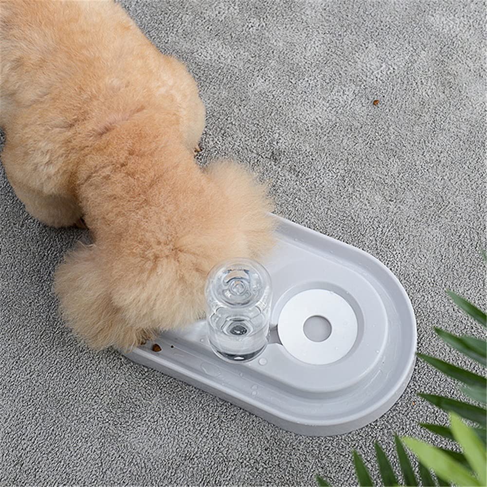 fuente para gatos, bebedero gatos Automático de agua for mascotas Bott Cats Alimentador de alimentación de alimentos for perros Alimentador de alimentos Tazón for perros No se pondrá el pelo de la boc