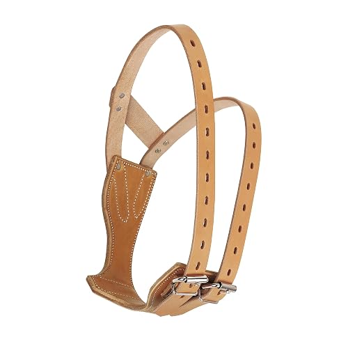 Weaver Equine Miracle Leather Horse Cribbing Collar, Durable Secure Fit