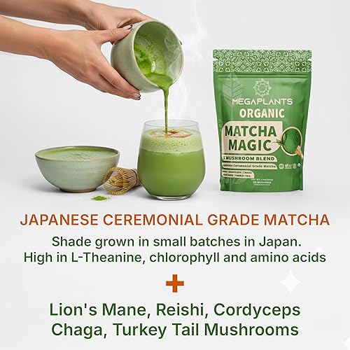 Miniatura 7 de MEGAPLANTS Mushroom Matcha Magic  Matcha japonés orgánico de grado ceremonial USDA (50 porciones)  con Reishi, melena de león, chaga, cordyceps y