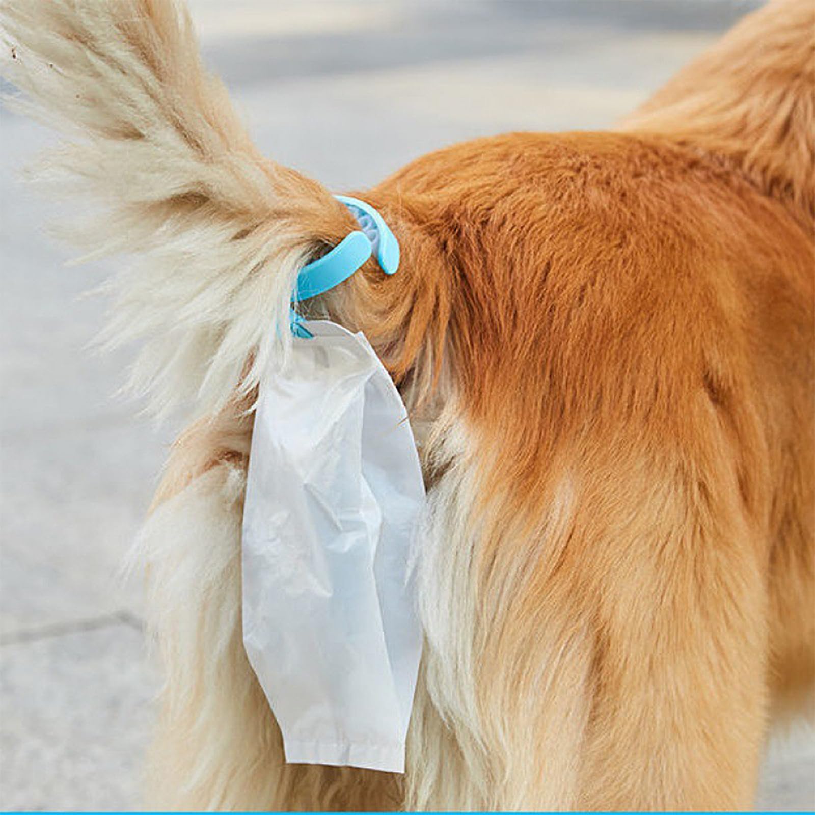 Hundekotbeutel, Toilettenhalter Für Hundetraining Mit Clip-Design, Austauschbarer Kotbeutel, Umweltfreundlich Und Spritzwassergeschützt, Für Drinnen, Draußen, Zum Ausgehen, Spazierengehen