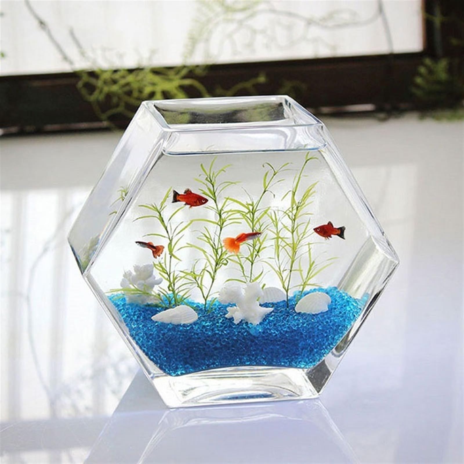 Acquario per decorare il soggiorno Acquario Piccolo acquario esagonale Piccolo acquario in vetro Trasparente Desktop Piccolo acquario Acquario for pesci tropicali Acquario ecologico per principianti