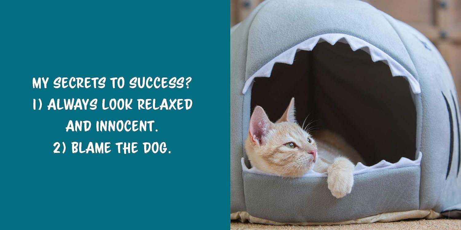 Let Me Knock That Off the Counter for You: And More Everyday Sass from Cats (Fun Gifts for Animal Lovers) - Image 8