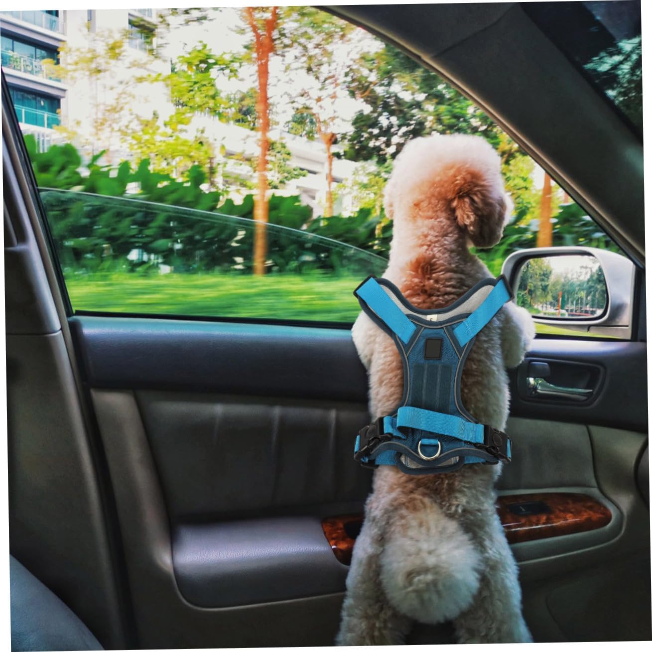 Adjustable PET Dog Vest Harness for Daily Walking, Oxford Cloth image 4