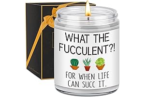 Succulent Candle: Hilarious Get Well, Cheer Up, Birthday, Mother's Day Gifts for Women