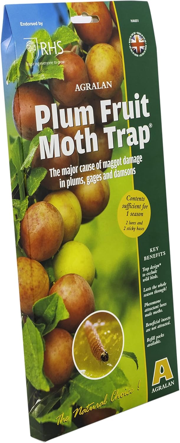 Agralan RHS Approved Natural Buxus Box Moth Refill | Includes 4 Pheromone Lures - View #6