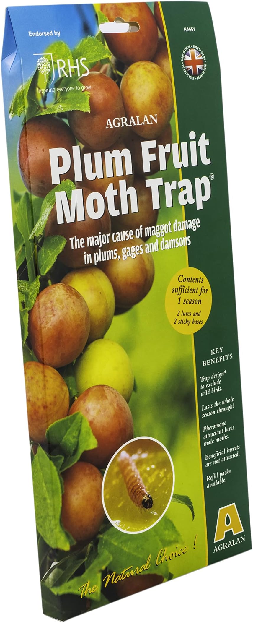 RHS Approved Natural Plum Moth Pheromone Trap
