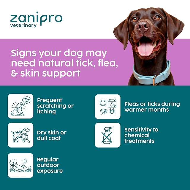 Foto 5 de 8 de Zanipro Polvo disuasorio natural de garrapatas y pulgas para perros