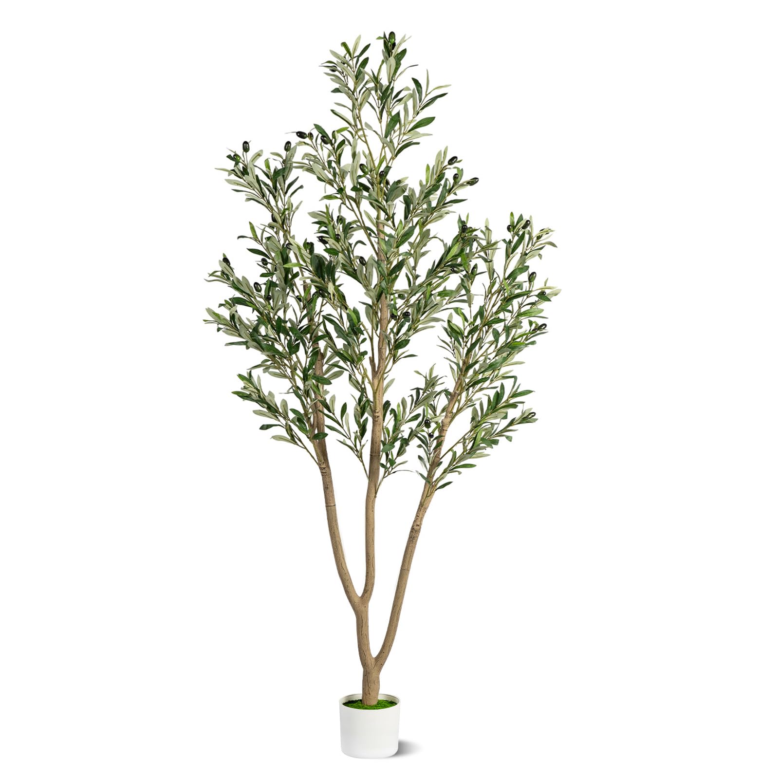 View 1 of ***STOCK PHOTO FOR REFERENCE ONLY***6FT Artificial Olive Tree, Indoor Faux Olive Tree Fake Potted Silk Olive Tree Plants with Lifelike Branches & Fruits for Home Office Decor