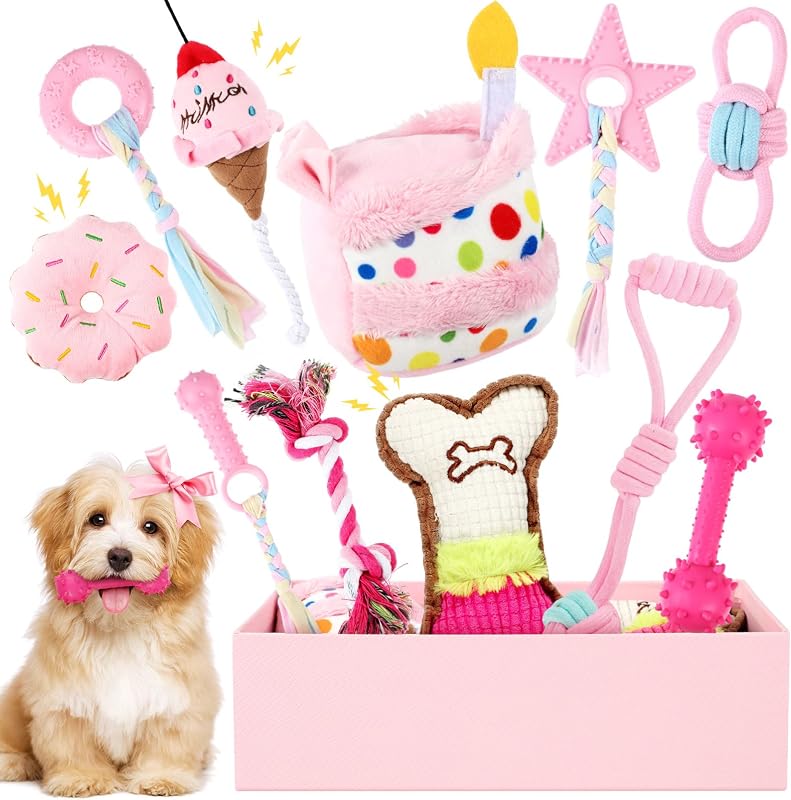 RoundFunny 11 Pcs Dog Birthday Toy Gift for Dog Birthday Cake Puppy Girl Boy Squeak Toys Interactive Puppy Gift with Box for Small Medium Size(Classic,Pink)