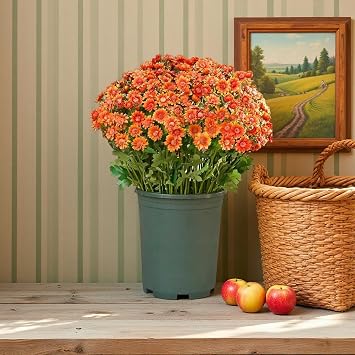 Artificial Sunset Mums, Artificial Outdoor Sunset Mums Flowers-for Outside Porch Garden Pots Planters Autumn Fall Decor,UV Resistant, Waterproof, Windproof,Look Real A-Orange,5 Bundle