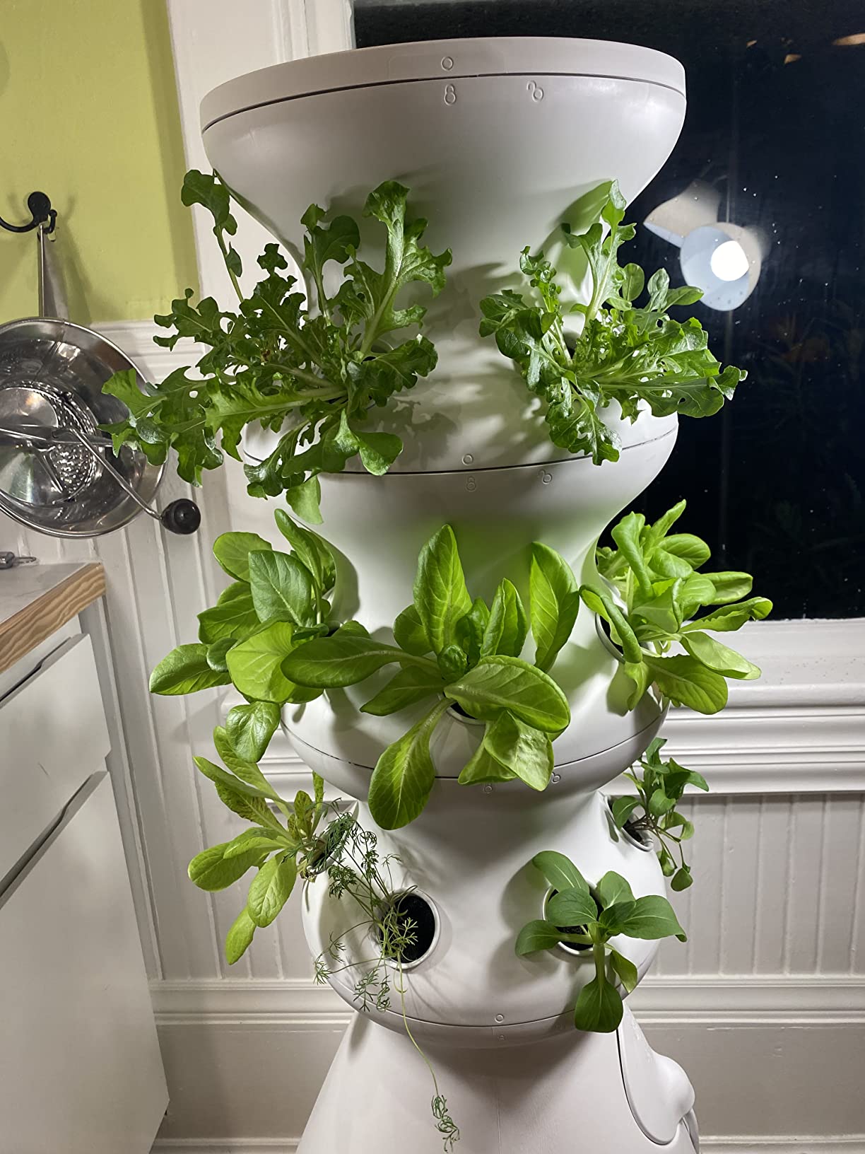 58/mo Finance Lettuce Grow Farmstand Starter Kit with Glow Rings and