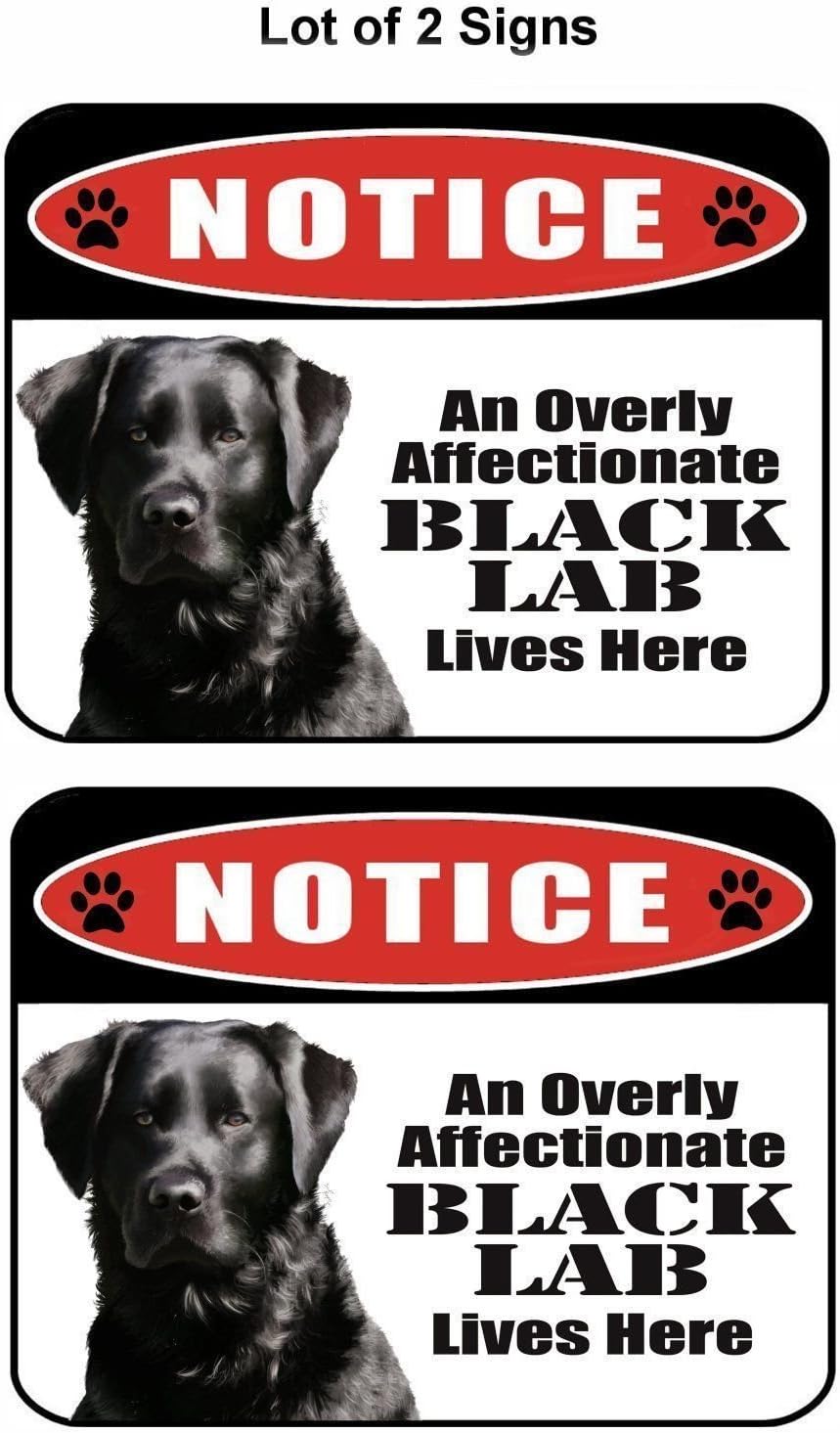 Black Lab Address Signs Amazon.com : 2 Count Notice an Overly Affectionate Black Lab Lives Here ...