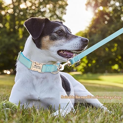 Miniatura 4 de Collar de perro personalizado con nombres y número de teléfono grabado, personalizado para mascotas pequeñas, medianas y grandes, etiquetas para