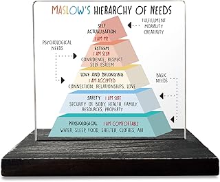 Maslow's Hierarchy of Needs Mental Health Therapy Office Motivational Decor Gifts for Women Men Employees Coworkers School Psychologist Counselor Negative Thoughts Decorative Signs Plaques GXX61
