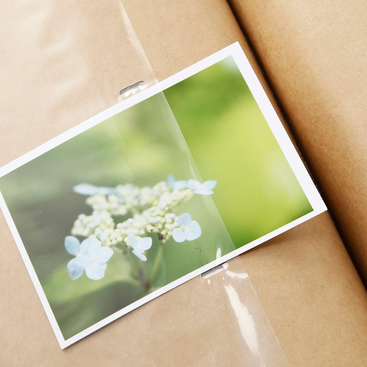 Amazon.co.jp: 無印良品 アルバム・3段 L判・300枚用 82111248 : 家電