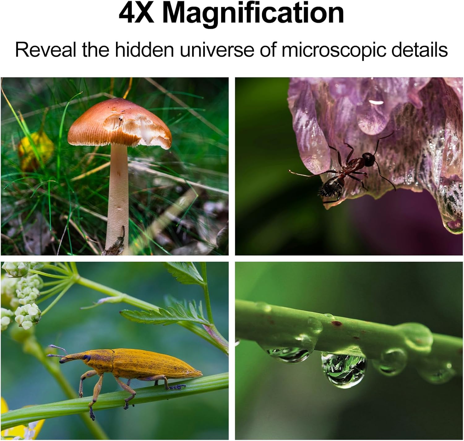 4X Macro Probe Lens with 17mm Thread Lens Phone Case for iPhone 16 Pro