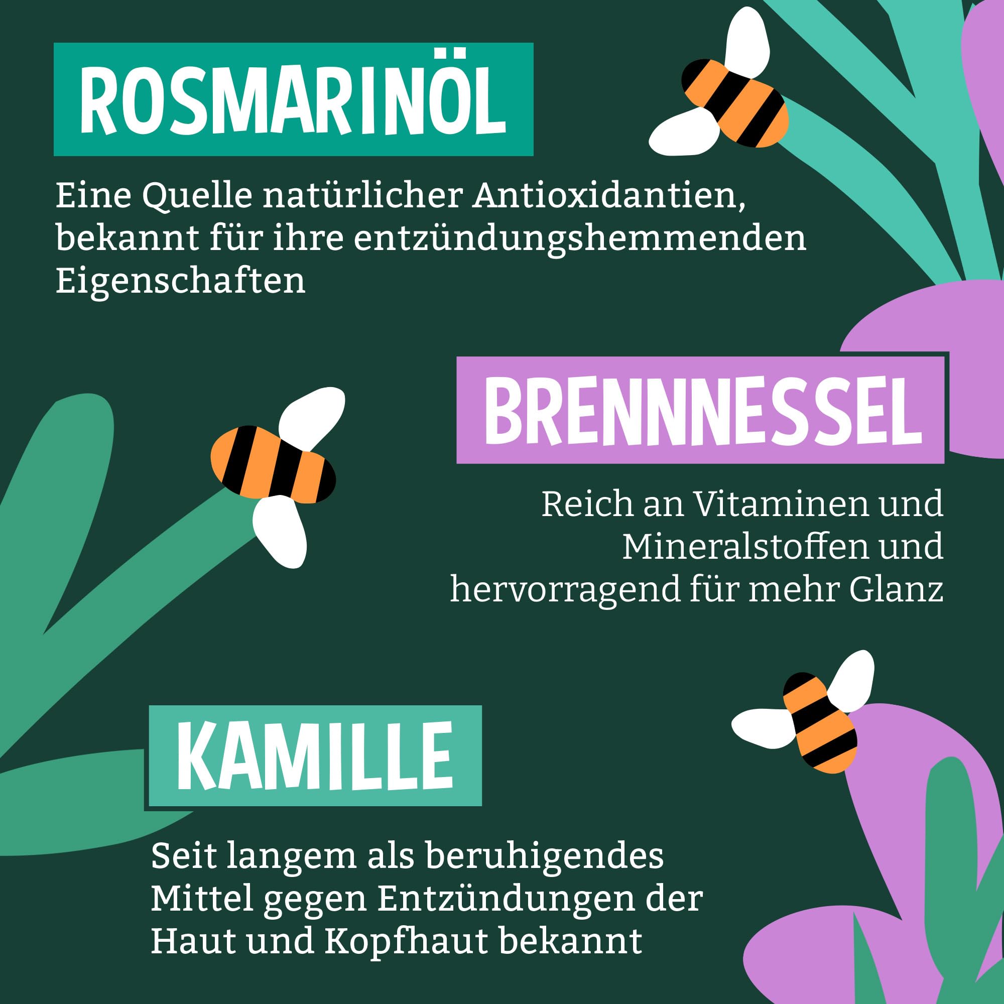 Faith In Nature Natürliches Lavendel & Geranie Conditioner, Ausgleichend für normales Haar & normale Kopfhaut, Vegan und tierversuchsfrei, Ohne SLS, Silikone oder Parabene, 5 L Nachfüllpack