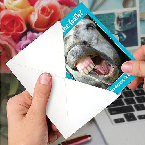 Miniatura 10 de NobleWorks Tarjeta de felicitación de cumpleaños 85 con sobre de 5 x 7 pulgadas (1 tarjeta) número pastel 85 C10115MBG