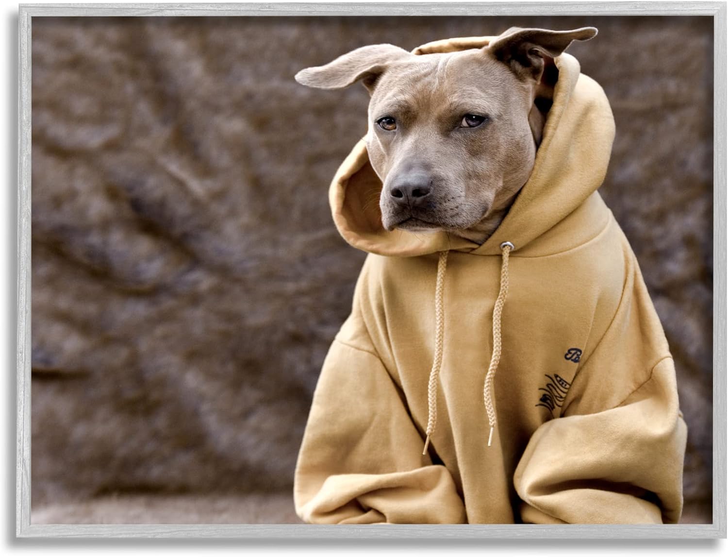 Stupell Industries Beautiful Dog Wearing Cozy Yellow Hoodie Photography, Design by Michael Brian