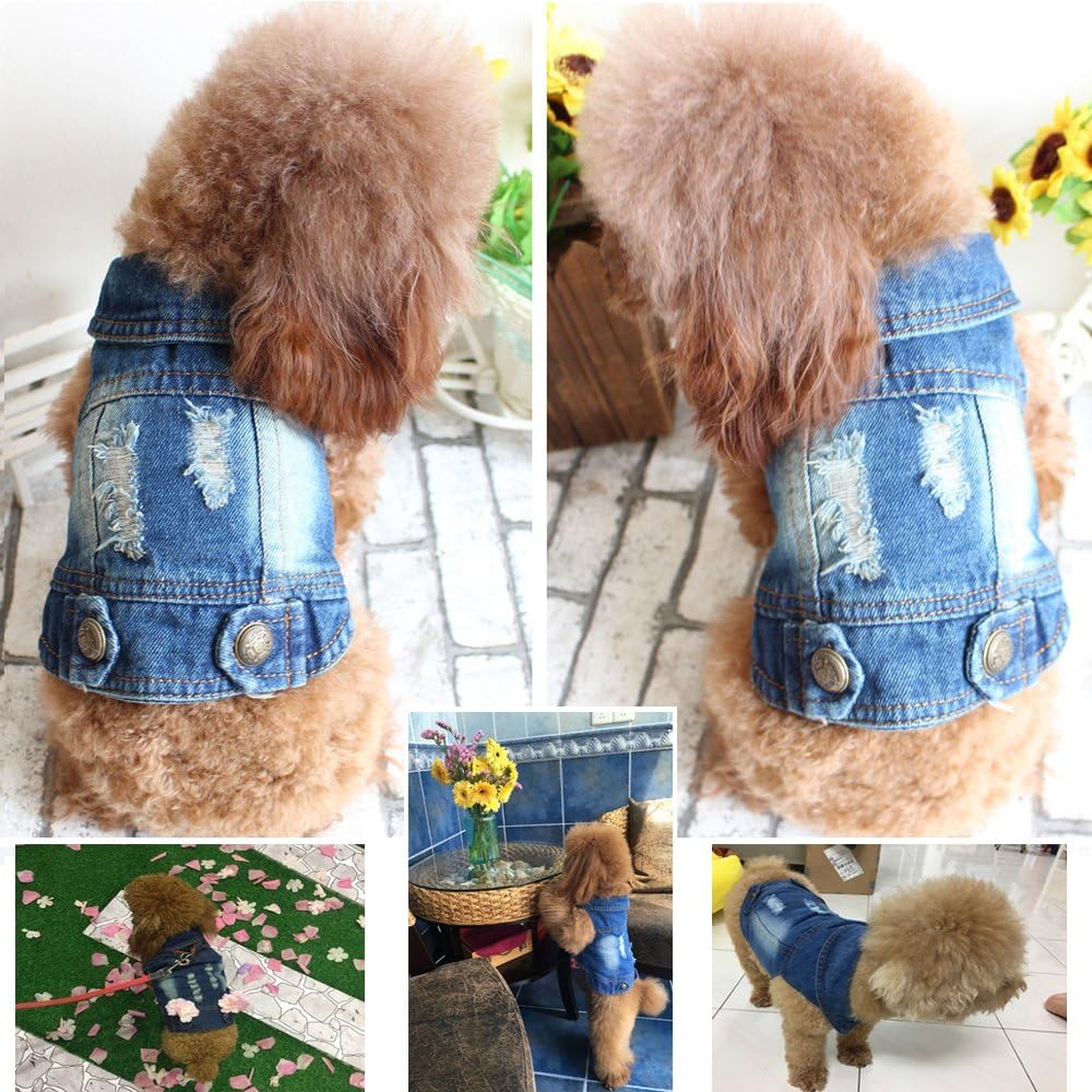 SILD Pet Clothes Dog Jeans Jacket Cool Blue Denim Coat Small Medium Dogs Lapel Vests Classic Hoodies Puppy Blue Vintage Washed Clothes : Kitchen & Dining