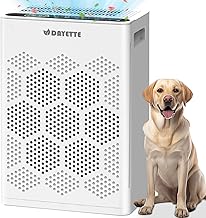 Luftreiniger für Allergiker und Raucherzimmer, HEPA H14 Filter mit waschbarem Vorfilter gegen Staub, Pollen, Tierhaare und Gerüche, CADR 300m³/h, Nachtmodus <22dB, inkl. 3 Duftpads