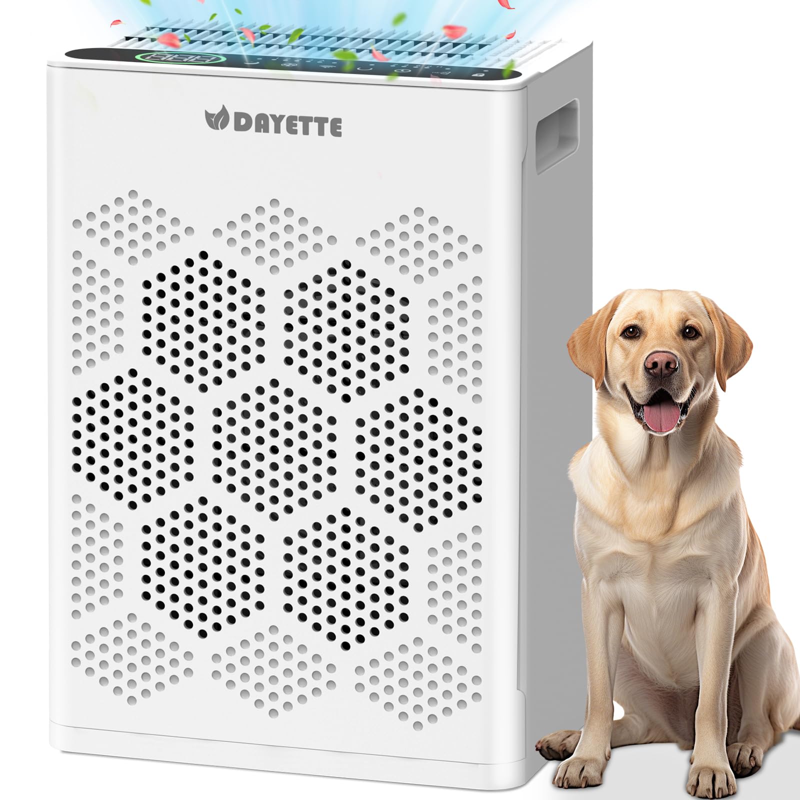 Luftreiniger für Allergiker und Raucherzimmer, HEPA H14 Filter mit waschbarem Vorfilter gegen Staub, Pollen, Tierhaare und Gerüche, CADR 300m³/h, Nachtmodus <22dB, inkl. 3 Duftpads
