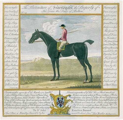 ArtDirect Portrait and Pedigree, Fearnought 11x11 UnFramed Art Print Poster Ready for Framing by Spencer, Thomas