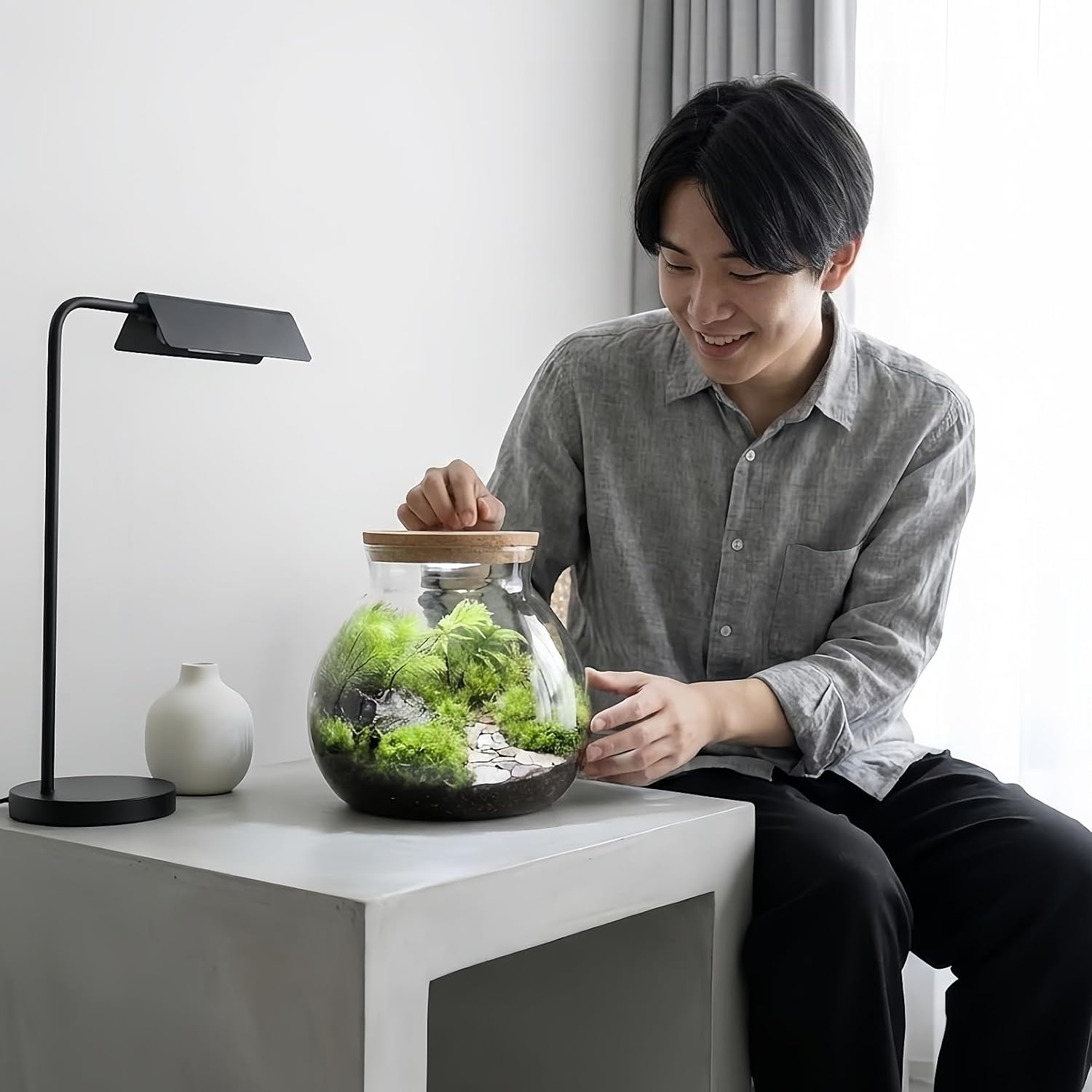 苔テラリウム 完成品 11cm 13cm 15cm LEDライト蓋付ボトル 【AETVRNI】 初心者の方でも育てやすい観葉植物 石畳のあ