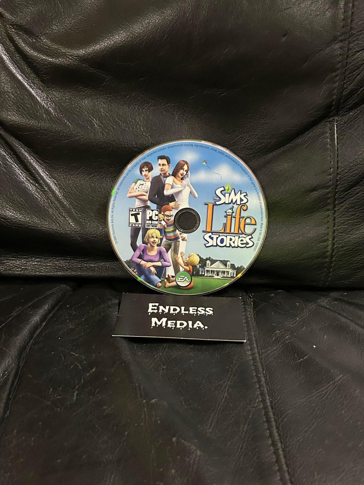 The Sims Life Stories [video game]
