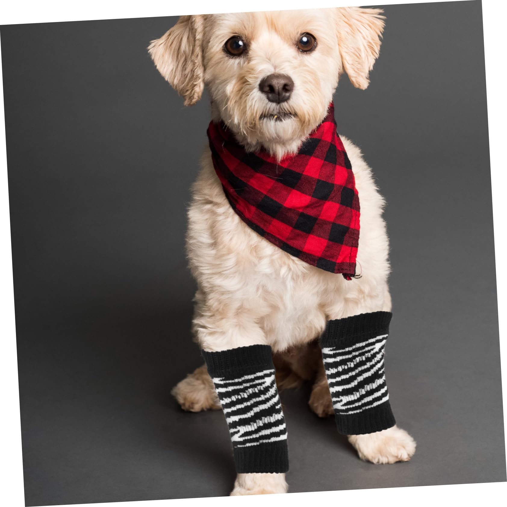 HAPINARY Cute Dog Socks Winter Leg Wraps for Paws Dog Paw Protectors for Cold Season