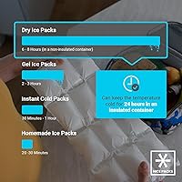 Vista 3 de Nice Packs - Bolsas de hielo seco reutilizables para envío de alimentos congelados, refrigeradores, loncheras, flexibles y duraderas (10 mini hojas)