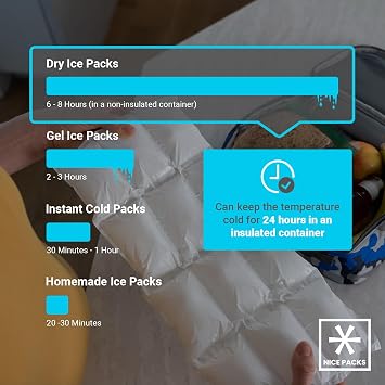 Nice Packs Reusable Dry Ice Packs for Cooler & Lunch Boxes, 180 Cells